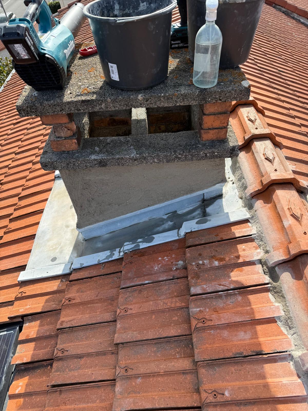 Démoussage toiture professionnel Finistère (29)